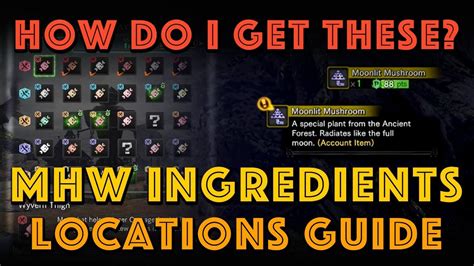 mhw canteen guide.